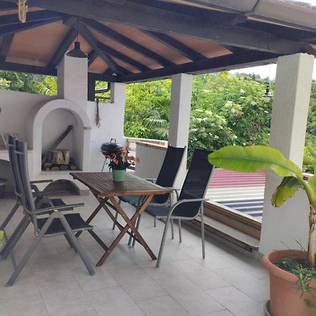 Apartma Salvia-Guest House ルツィヤ エクステリア 写真