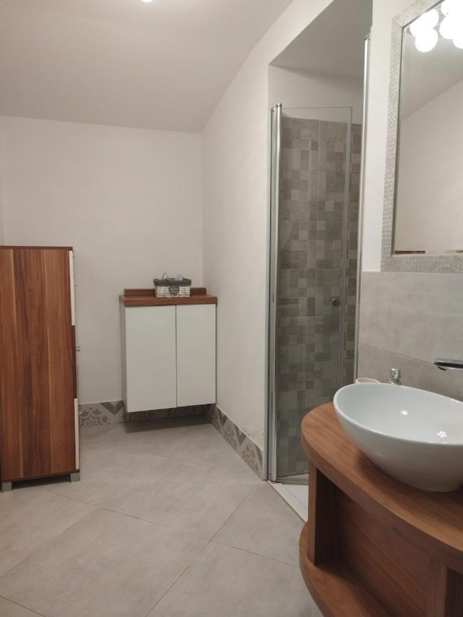 Apartma Salvia-Guest House ルツィヤ エクステリア 写真