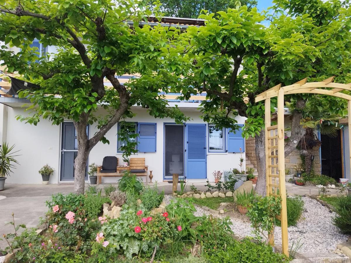 Apartma Salvia-Guest House ルツィヤ エクステリア 写真