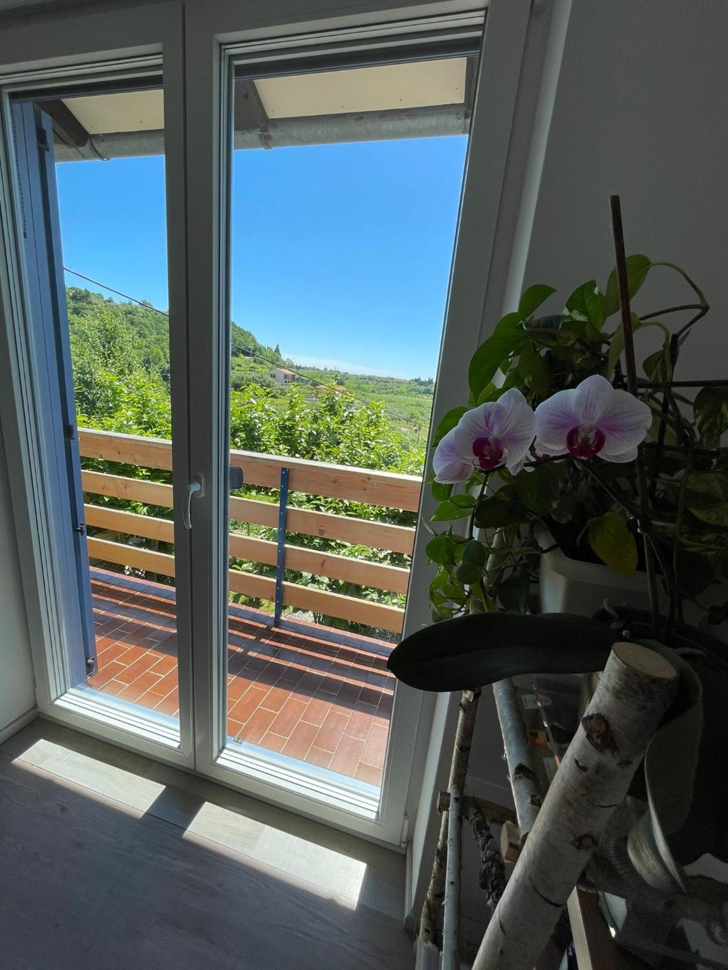 Apartma Salvia-Guest House ルツィヤ エクステリア 写真