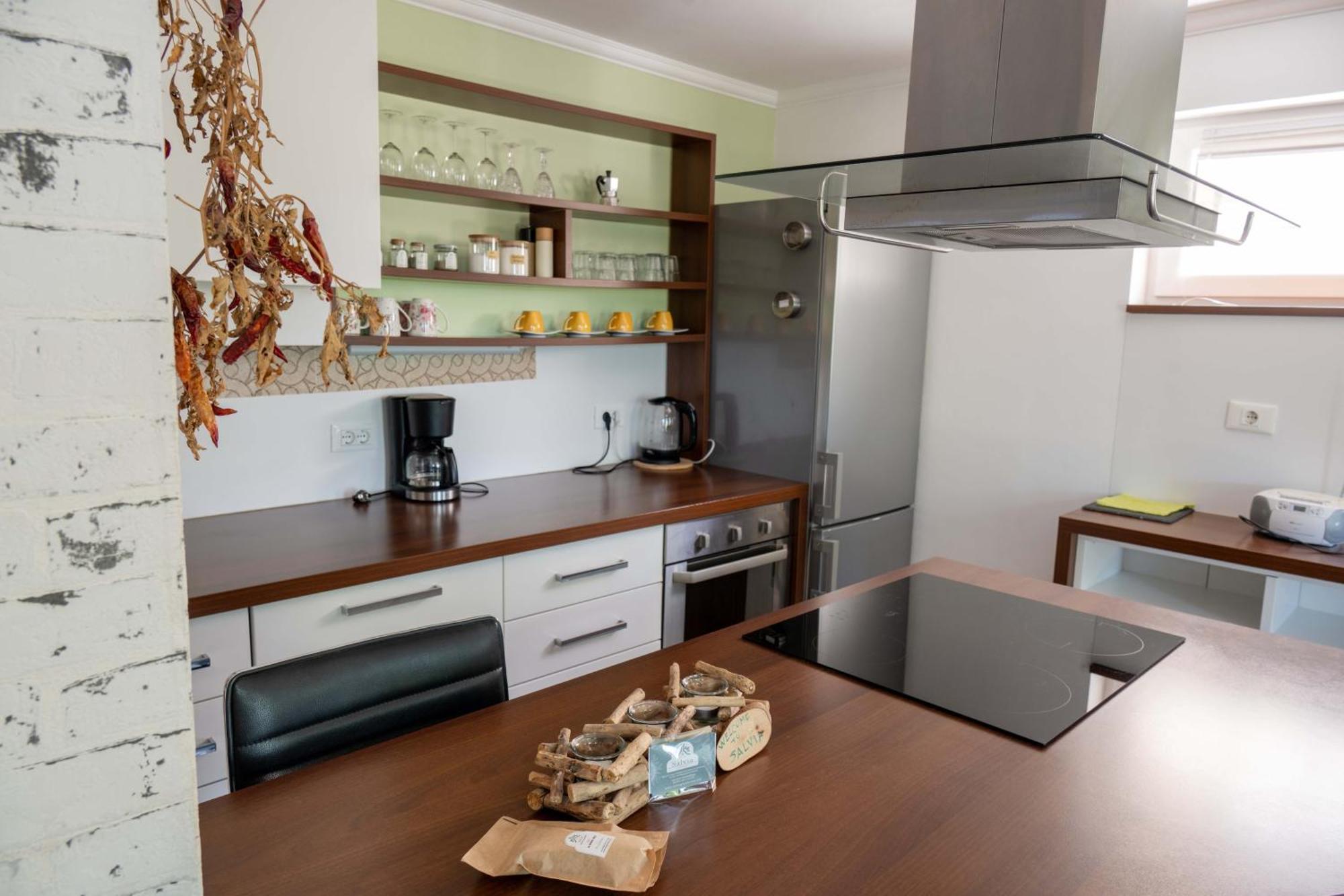 Apartma Salvia-Guest House ルツィヤ エクステリア 写真