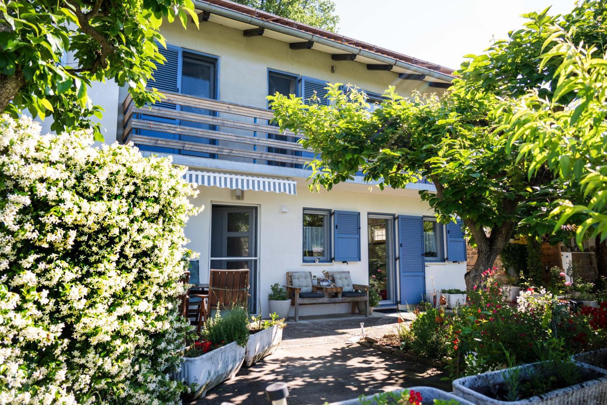Apartma Salvia-Guest House ルツィヤ エクステリア 写真